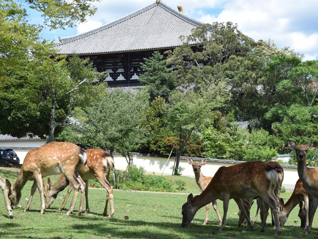 Yamabe Hotel Tenri Bagian luar foto