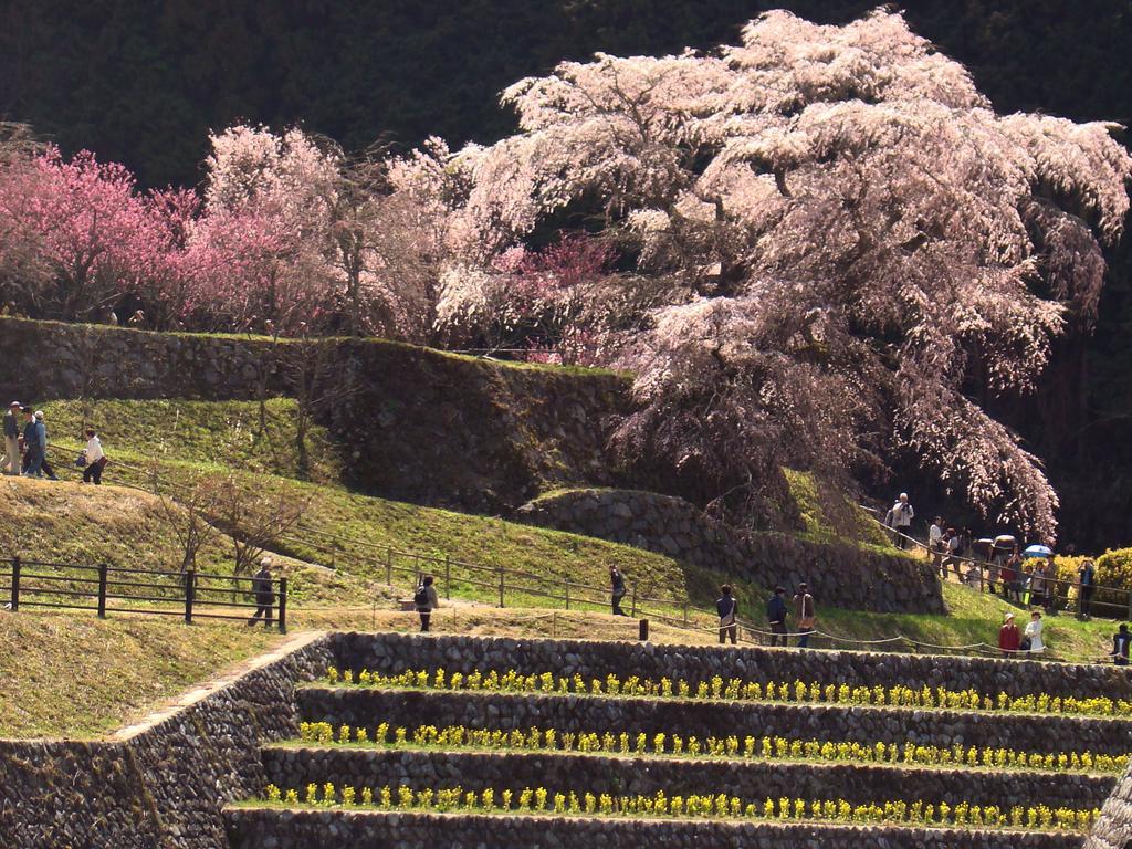 Yamabe Hotel Tenri Bagian luar foto